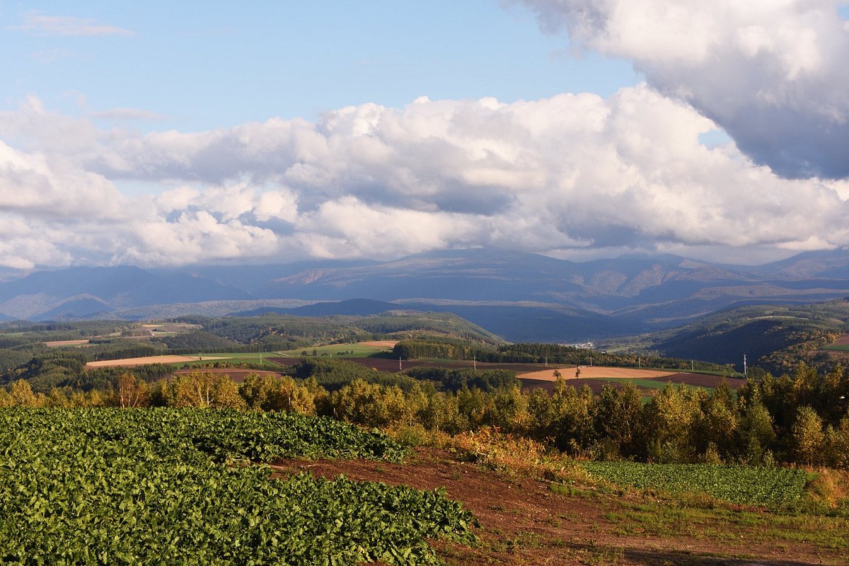 🏞️ 슈지츠 언덕(슈지츠노오카) 이미지 1